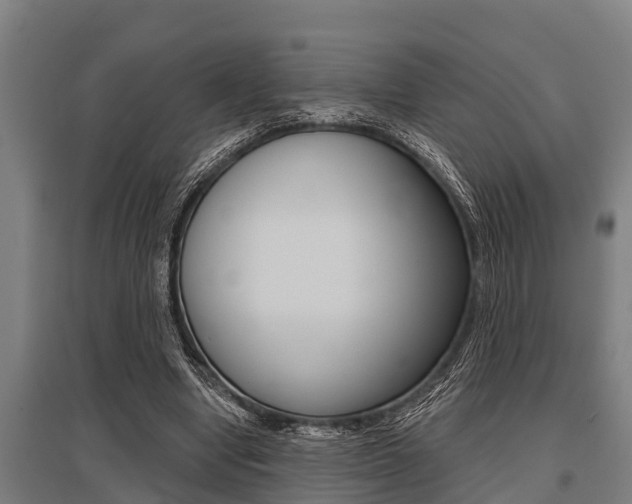 X0000096130442200801180833