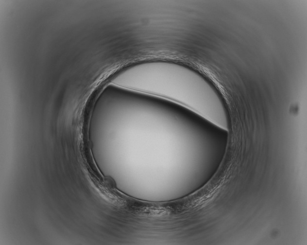 X0000096130443200801180833