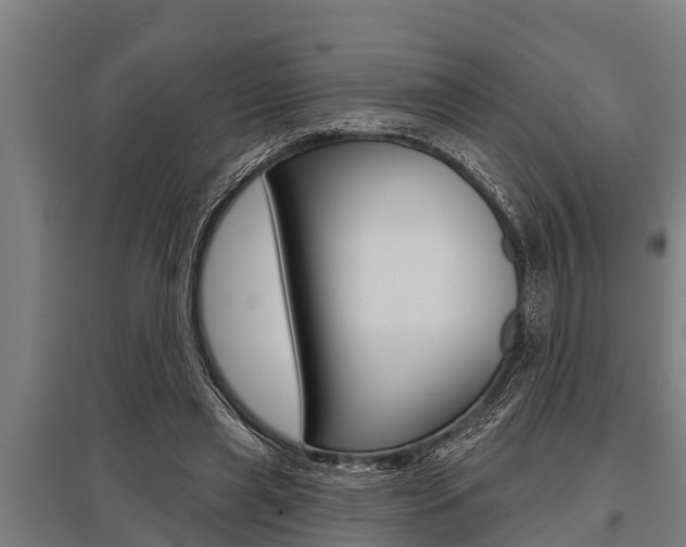 X0000096130445200801180833