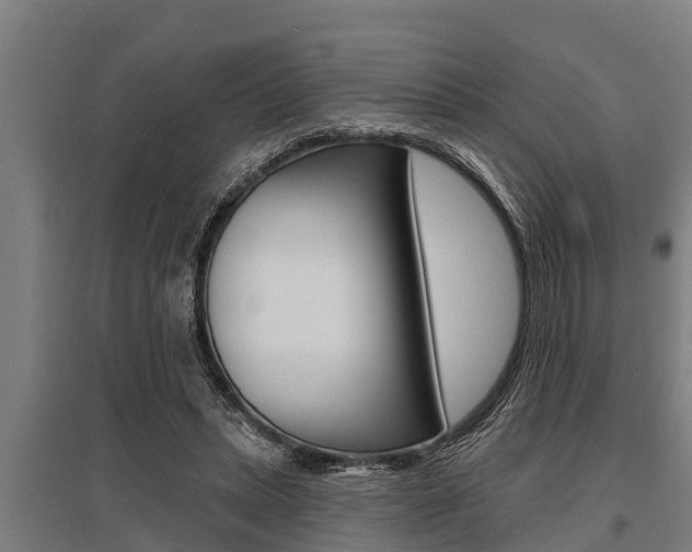 X0000096130447200801180833