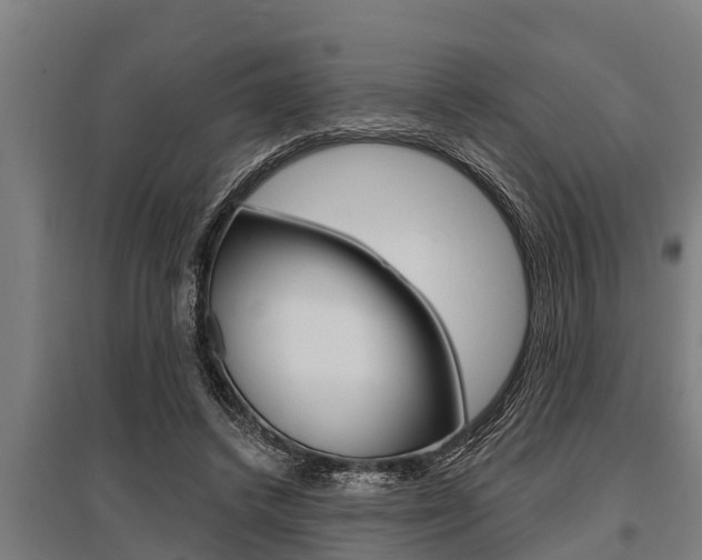 X0000096130448200801180833