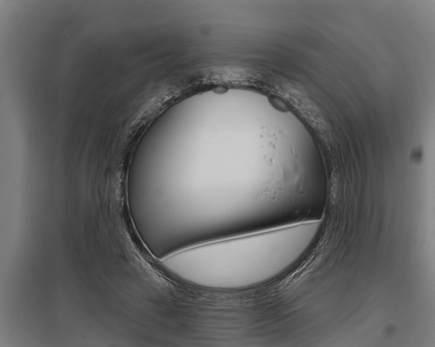 X0000096130449200801180833