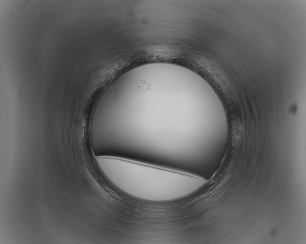 X0000096130451200801180833