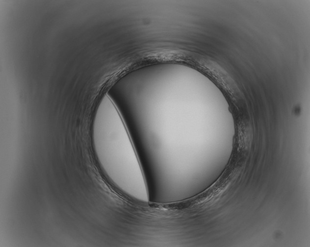 X0000096130453200801180833