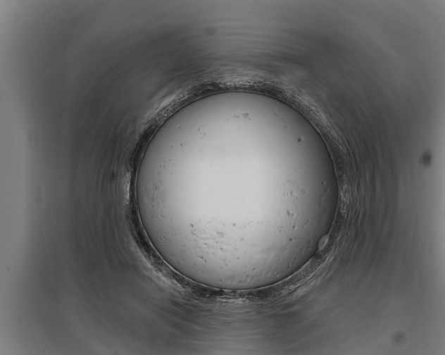 X0000096130454200801180833