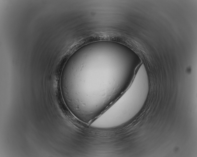 X0000096130456200801180833
