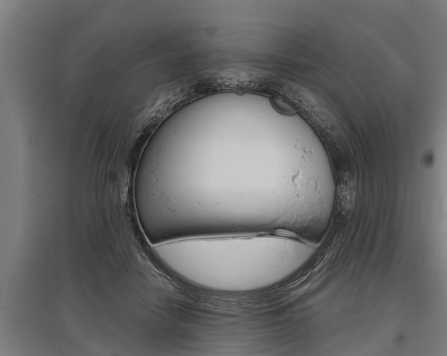 X0000096130458200801180833