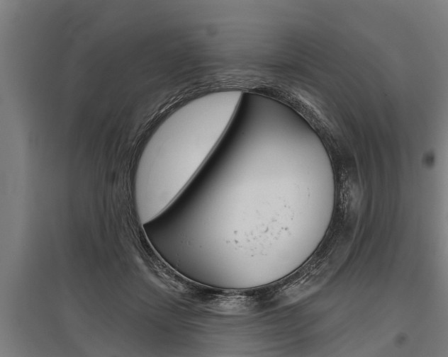 X0000096130459200801180833