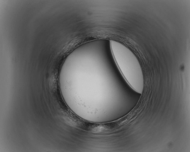 X0000096130460200801180833