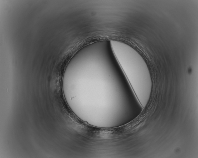 X0000096130462200801180833