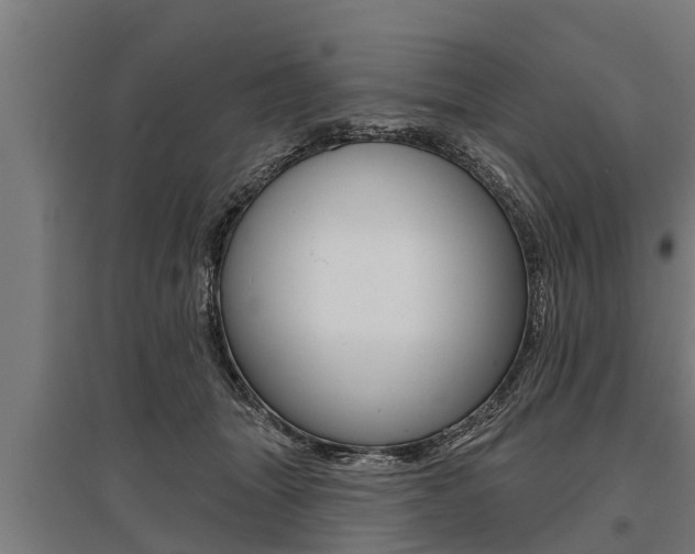X0000096130463200801180833