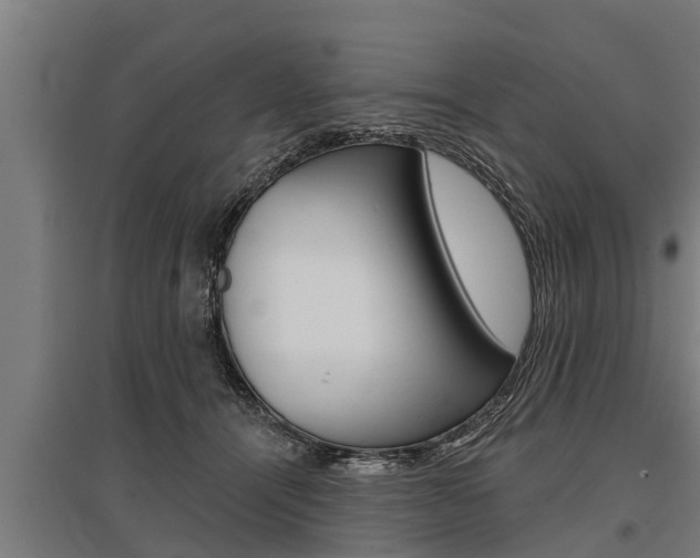 X0000096130464200801180833