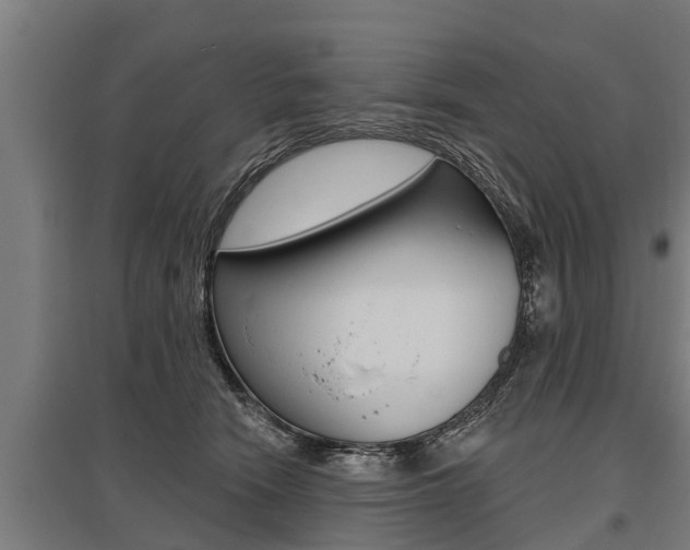 X0000096130466200801180833