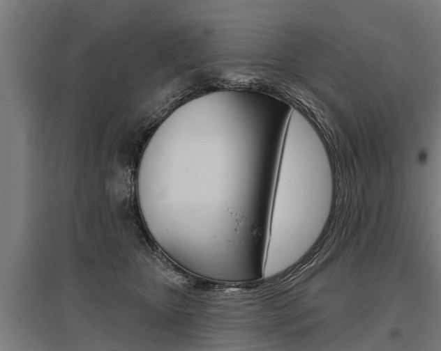 X0000096130467200801180833