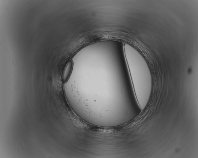 X0000096130469200801180833