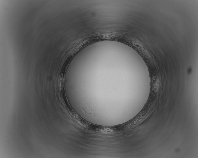 X0000096130471200801180833