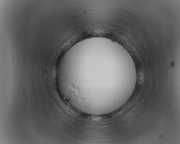 X0000096130472200801180833