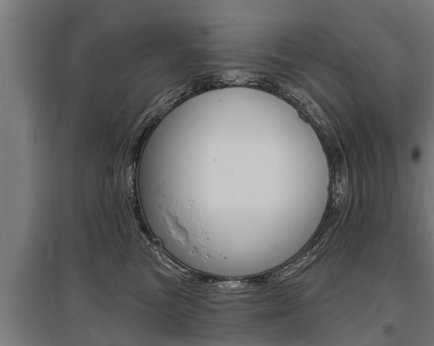 X0000096130473200801180833
