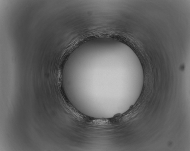X0000096130480200801180833
