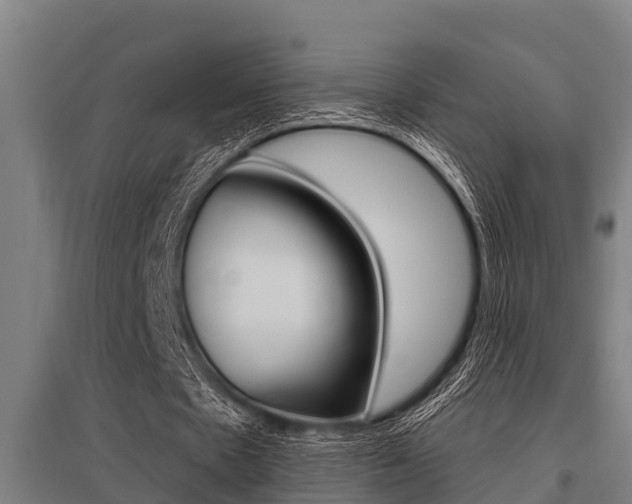 X0000096130481200801180833