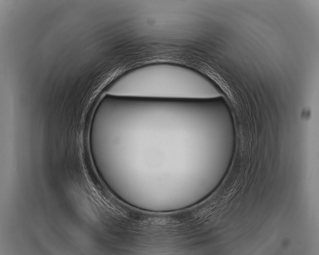 X0000096130482200801180832