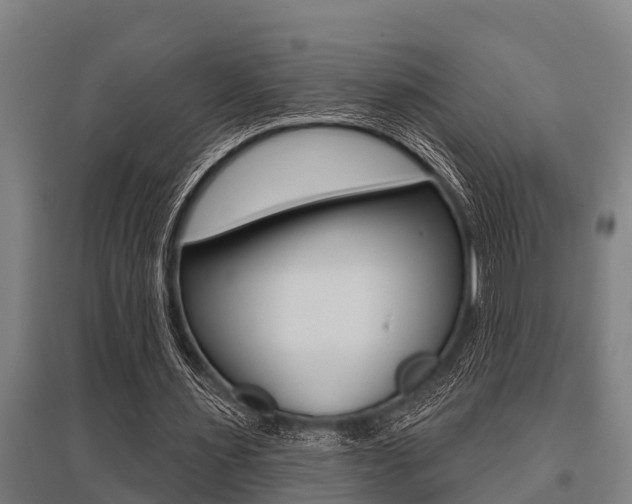 X0000096130483200801180832