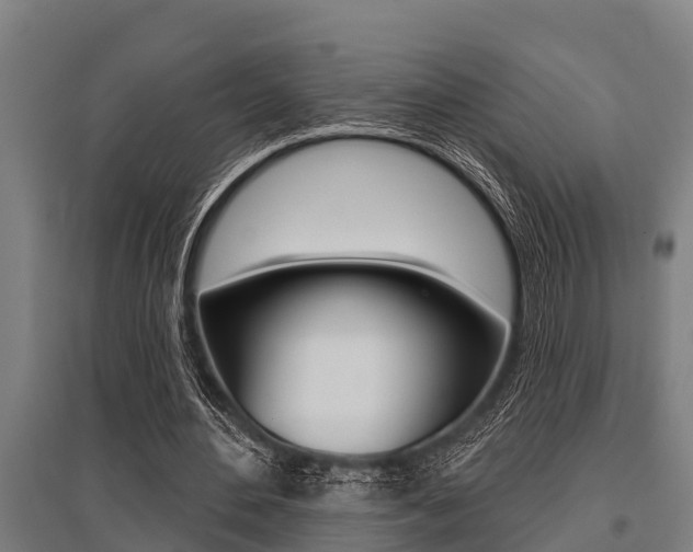 X0000096130484200801180832