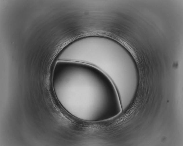 X0000096130485200801180832
