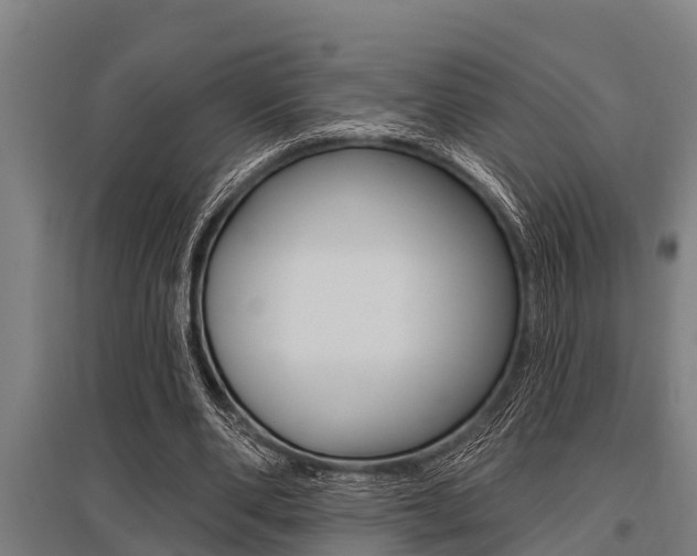 X0000096130486200801180832