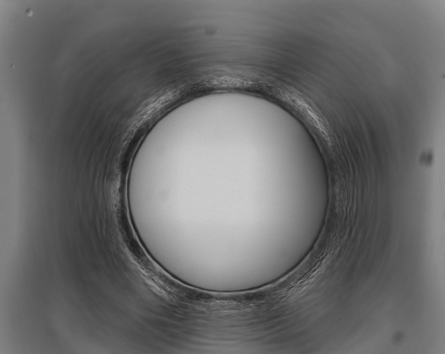 X0000096130490200801180832