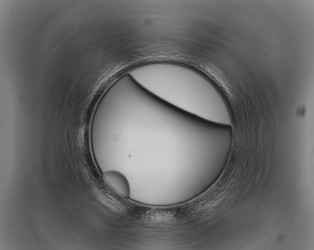 X0000096130491200801180832