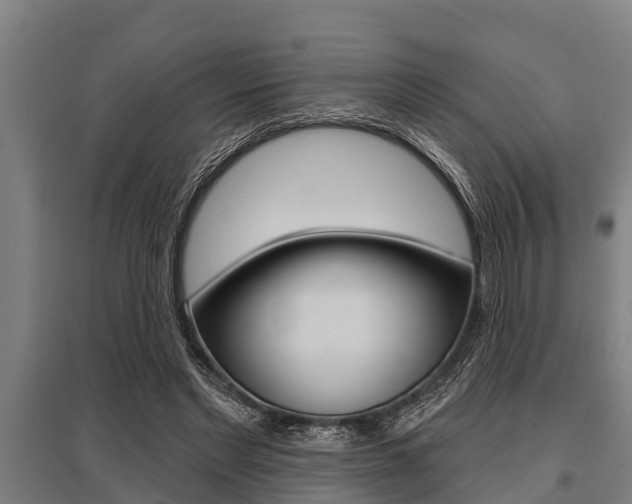 X0000096130493200801180832