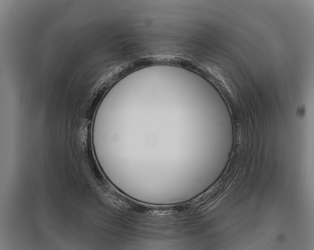 X0000096130495200801180832