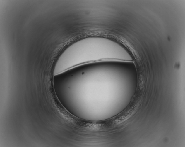 X0000096130497200801180832