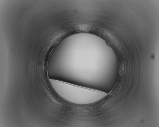 X0000096130500200801180832