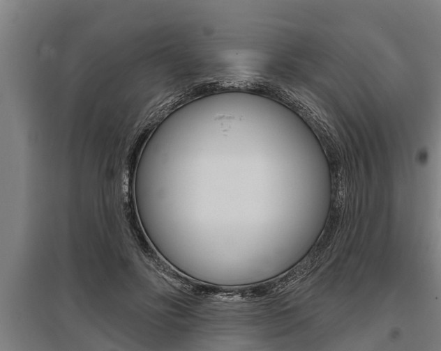 X0000096130502200801180832