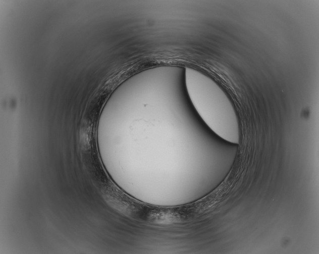 X0000096130503200801180832