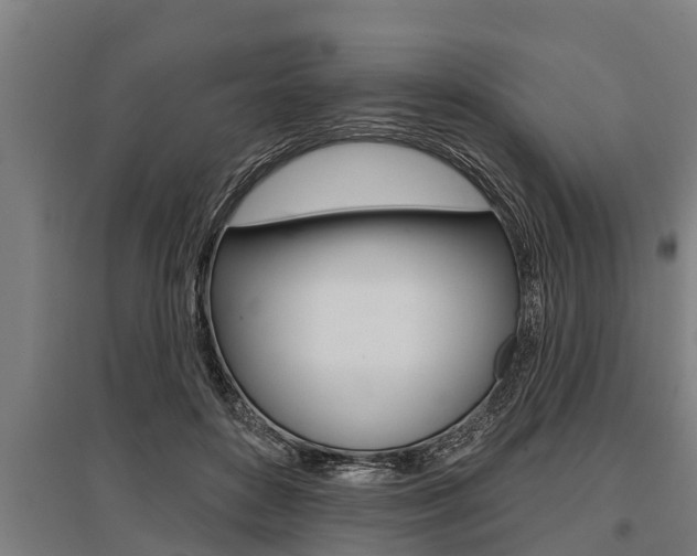 X0000096130504200801180832