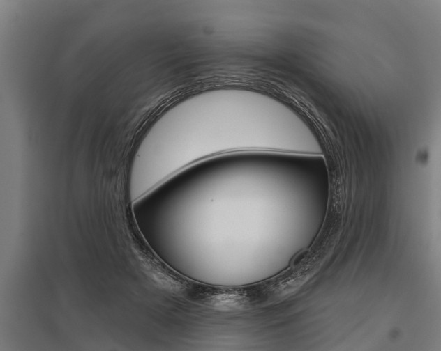 X0000096130505200801180832