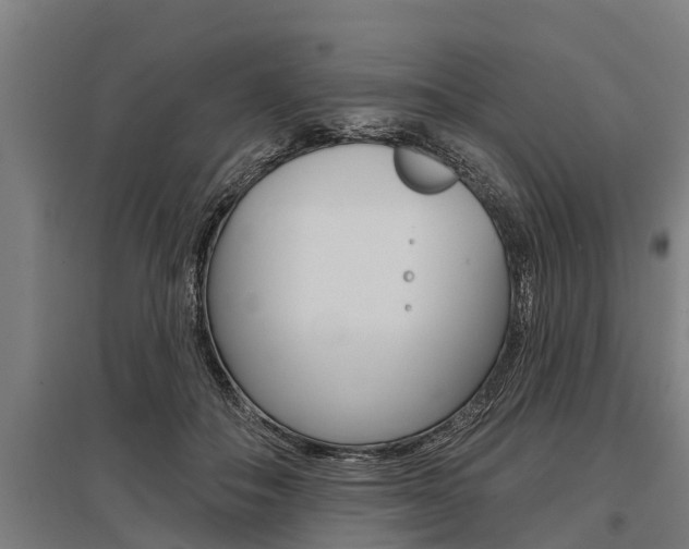 X0000096130506200801180832
