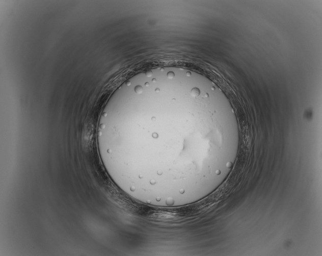 X0000096130507200801180832