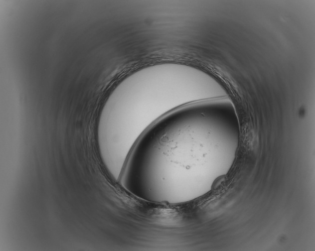 X0000096130509200801180832