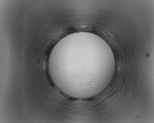 X0000096130515200801180832