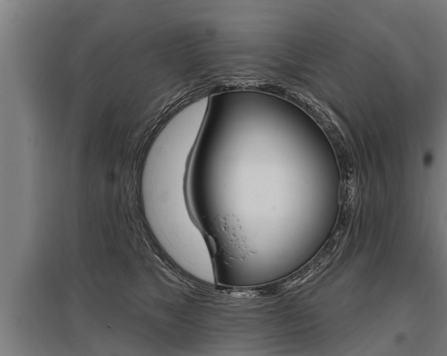 X0000096130517200801180832