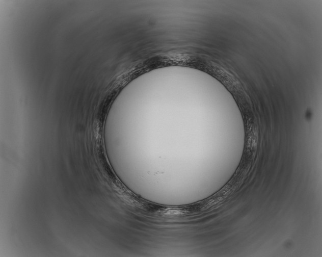 X0000096130518200801180832