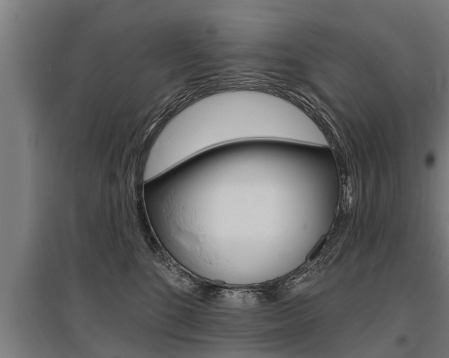 X0000096130520200801180832