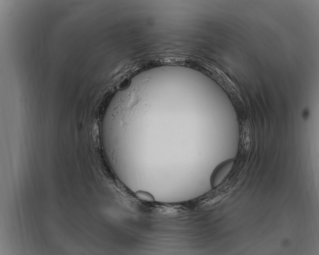 X0000096130523200801180832