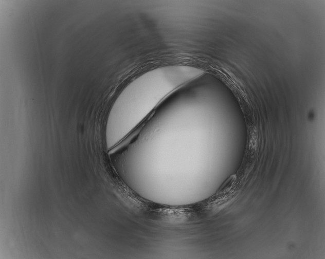 X0000096130524200801180832