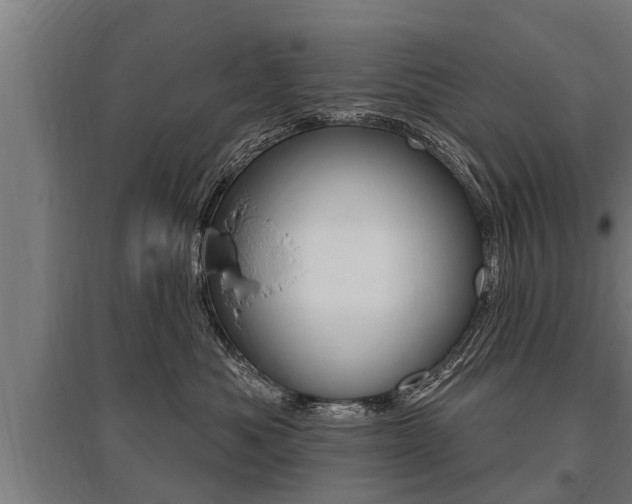 X0000096130525200801180832