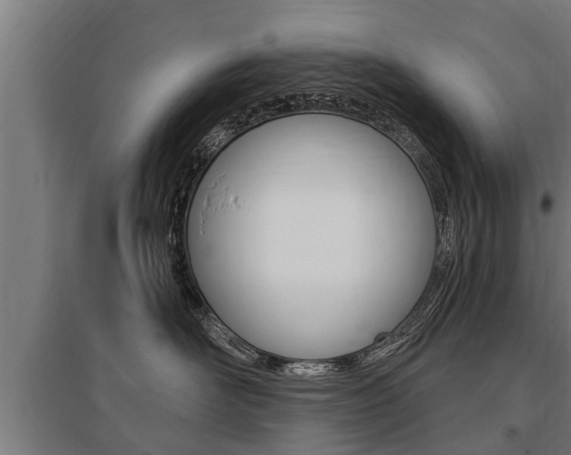 X0000096130526200801180832